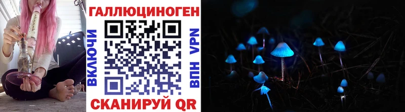 гидра онион  где продают   Татарск  Галлюциногенные грибы Psilocybine cubensis 