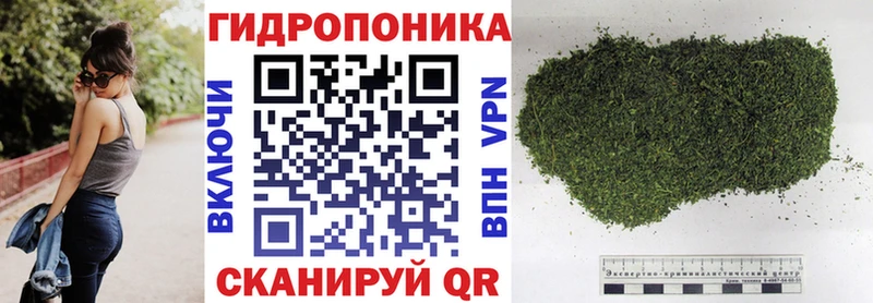 Марихуана семена  сколько стоит  MEGA зеркало  Татарск 